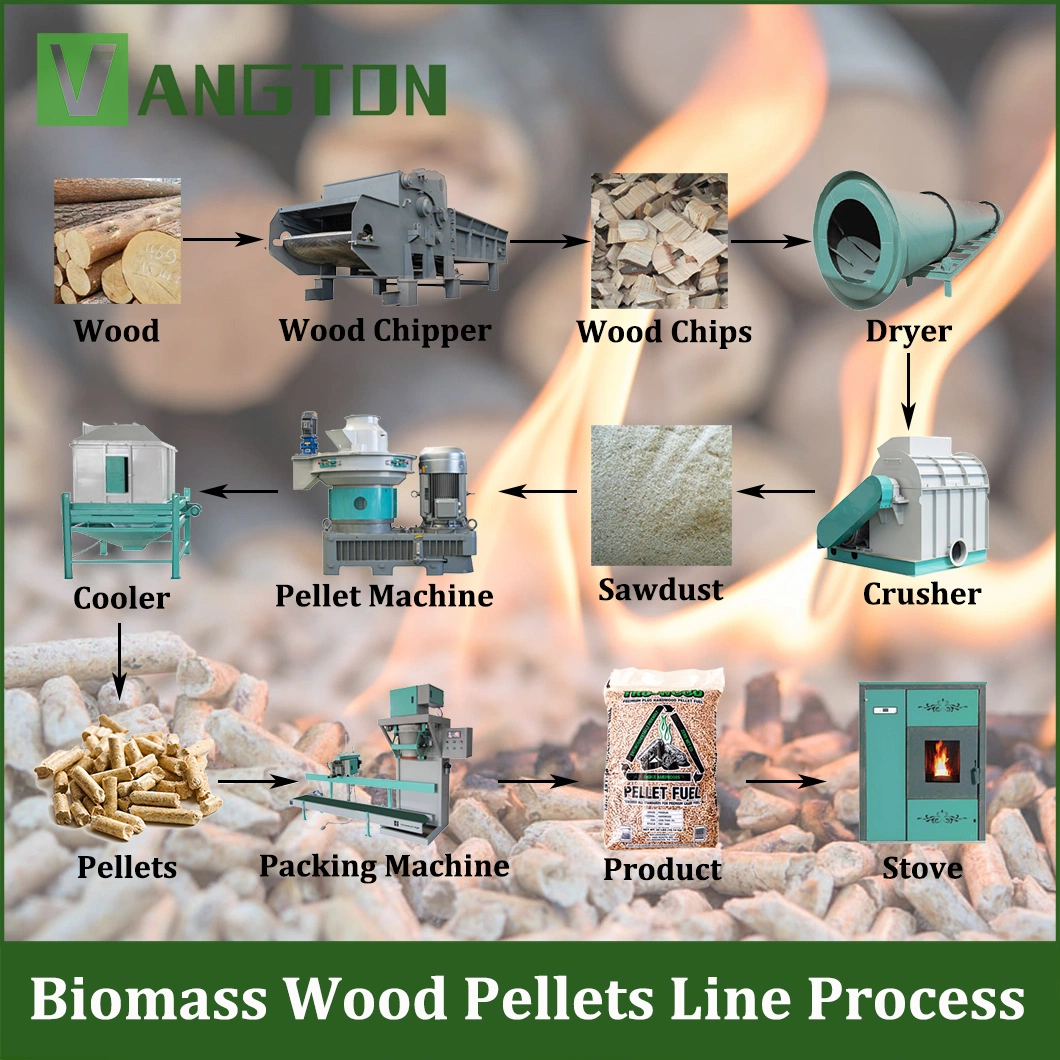 Ring Die 560 760 860 Model Rice Husk Straw Sawdust Biomass Wood Pellet Machine/Mill Price for Briquette/Pelletizer